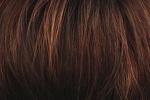 Gallery_per002610-18066