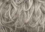 Gallery_0358-23339