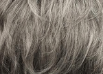 Gallery_0477-18245