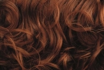 Gallery_001424-17620