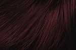 Gallery_per003558-18256